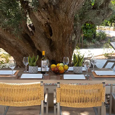 Saitia Tsoukaládhes